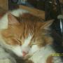 Sue Tracy Photo 24