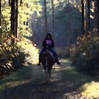 Gail Mccullough Photo 20