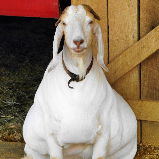 Stephen Chandler Photo 16