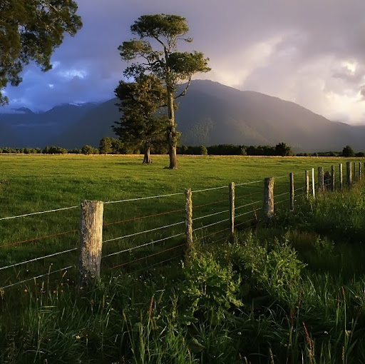 Teresa Kelly Photo 33