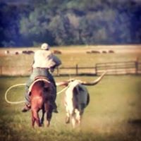 Dale Warner Photo 10