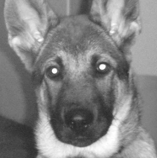 Tara Fleming Photo 34