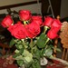 Geraldine Rose Photo 11