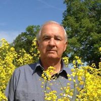 Denise Mcdaniel Photo 8