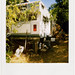 Cynthia Orr Photo 16