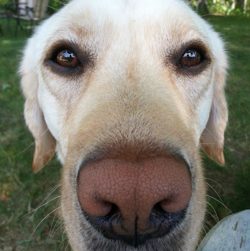 Scott Cramer Photo 36 Scott Cramer Photo 36