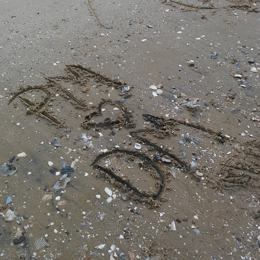 Patrick Mullins Photo 44