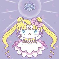 Anne Rogers Photo 21