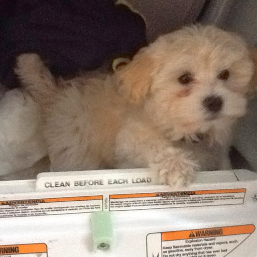 Elizabeth Buck Photo 14