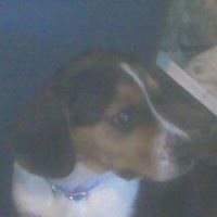 Peter Fuller Photo 7