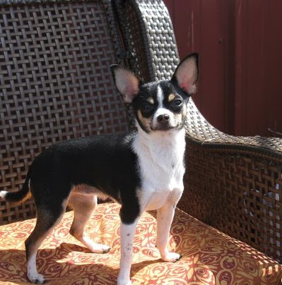 Walter Atkinson Photo 14