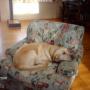 Christopher Cheney Photo 7