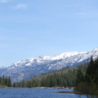 Susan Ingels Photo 2