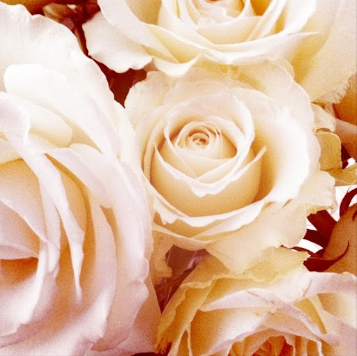 Kelley Robinson Photo 17 Kelley Robinson Photo 17