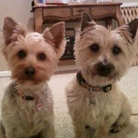 Amanda Pratt Photo 15