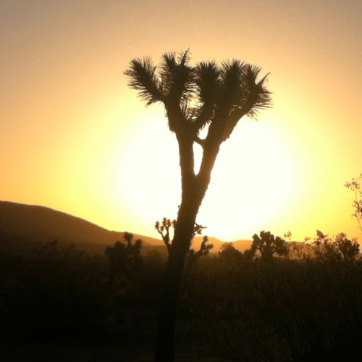 Daniel Cline Photo 24