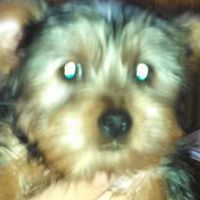 Sherry Julian Photo 2
