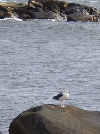 Kathleen Castro Photo 15