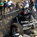 Shannon Campbell Photo 28