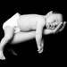Nicholas Whited Photo 12