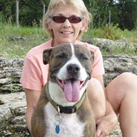 Susan Noland Photo 6