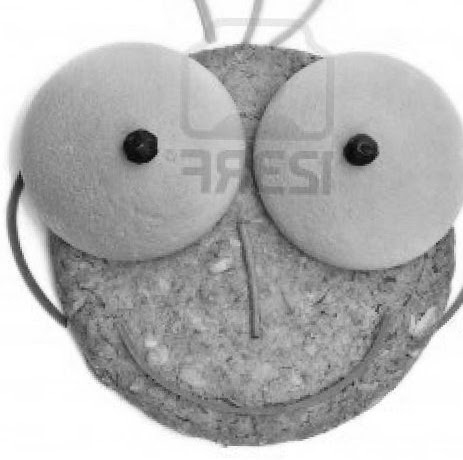 Jack Rodgers Photo 34