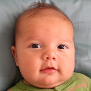 Michael Steinmann Photo 11