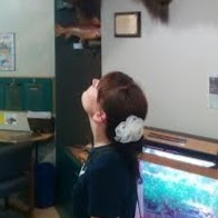 Sarah Ireland Photo 11