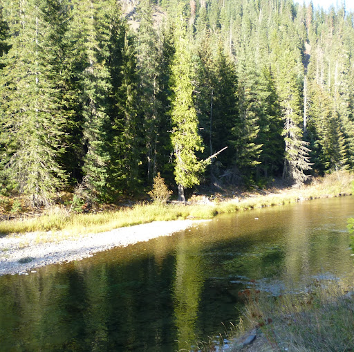 Steven Neill Photo 15