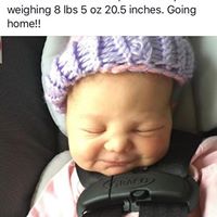 Phyllis Koch Photo 6