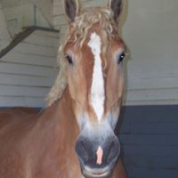 Sheryl Jarvis Photo 3