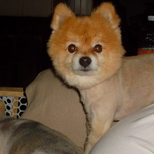 Linda Ingraham Photo 6