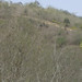 Alvaro Valladares Photo 11