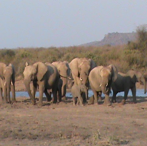 Stephen Workman Photo 30