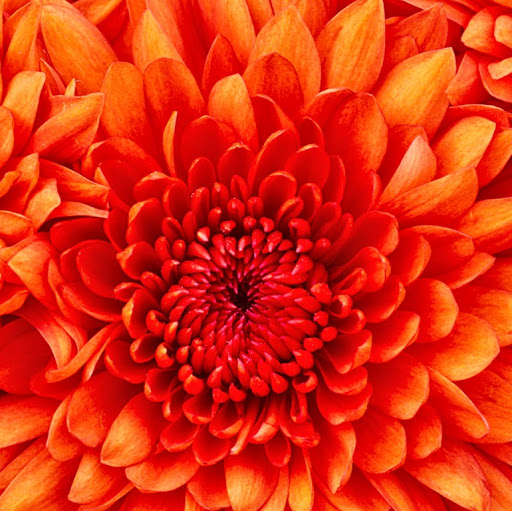 Robyn Mayes Photo 12