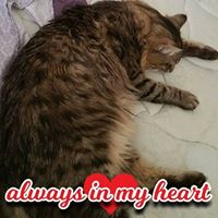 Robyn Grimes Photo 17