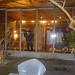 Robin Walsh Photo 41