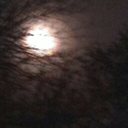 Sharon Cain Photo 29