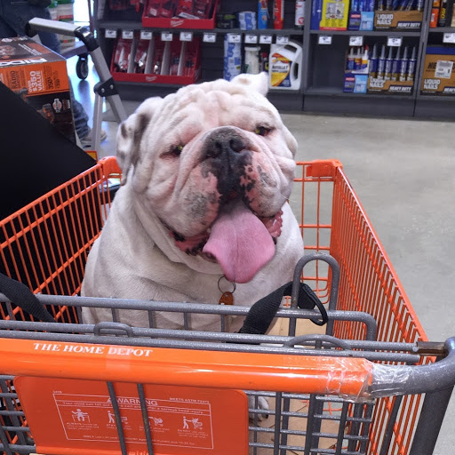 Cynthia Nielsen Photo 19