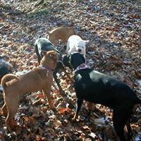 Keith Clements Photo 10