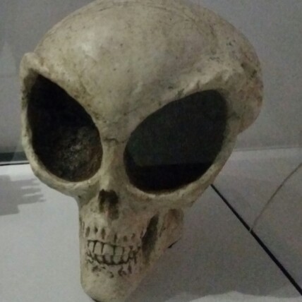 Joel Guthrie Photo 13