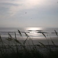 Tina Dodson Photo 8