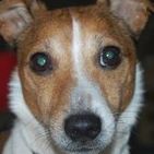 John Holstein Photo 13
