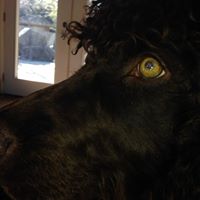 Louie Casey Photo 2