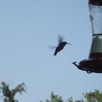 Ruth Blevins Photo 18