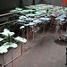 Susan Waters Photo 35