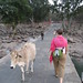 Cheryl Rush Photo 17