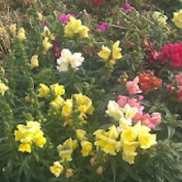 Stacie Shaffer Photo 2