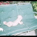 Susan Pacheco Photo 36