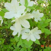 Anne Bean Photo 30 Anne Bean Photo 30